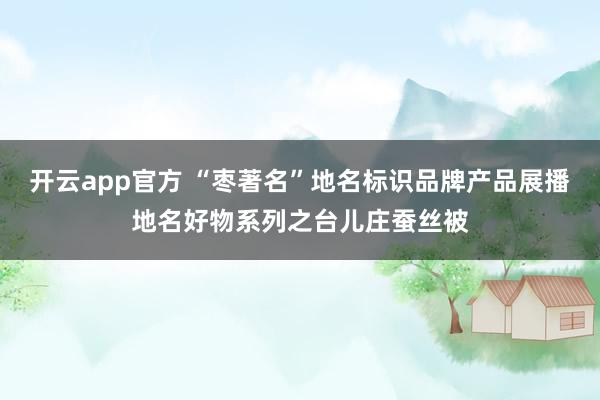开云app官方 “枣著名”地名标识品牌产品展播地名好物系列之台儿庄蚕丝被