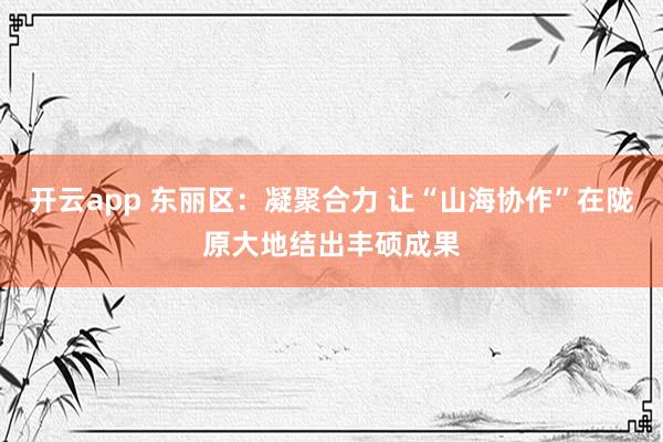 开云app 东丽区：凝聚合力 让“山海协作”在陇原大地结出丰硕成果