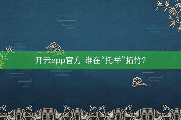 开云app官方 谁在“托举”拓竹？