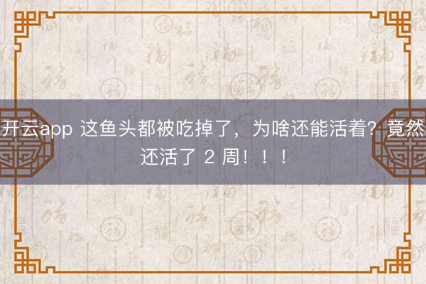 开云app 这鱼头都被吃掉了，为啥还能活着？竟然还活了 2 周！！！