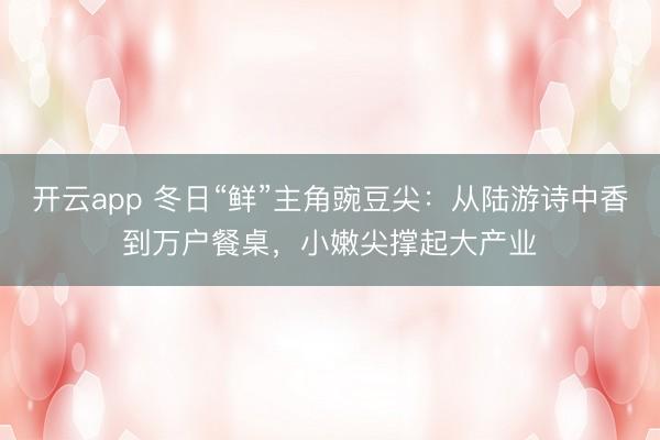 开云app 冬日“鲜”主角豌豆尖：从陆游诗中香到万户餐桌，小嫩尖撑起大产业