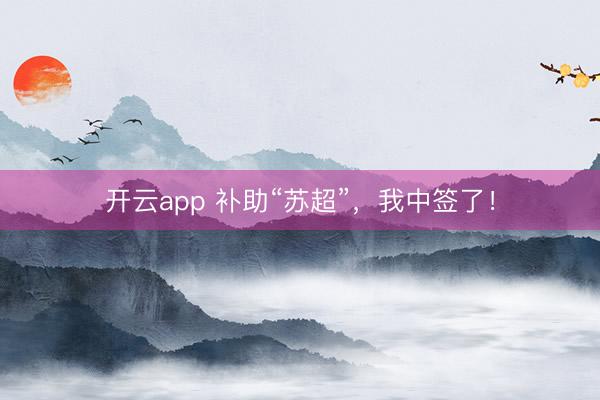 开云app 补助“苏超”,我中签了!
