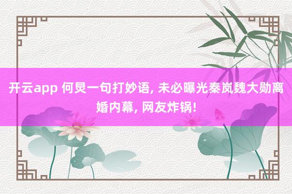 开云app 何炅一句打妙语, 未必曝光秦岚魏大勋离婚内幕, 网友炸锅!