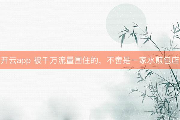 开云app 被千万流量围住的，不啻是一家水煎包店