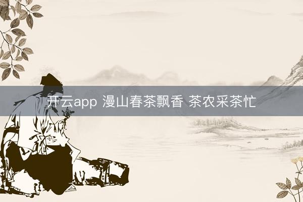 开云app 漫山春茶飘香 茶农采茶忙