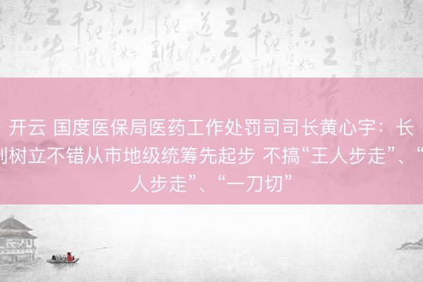 开云 国度医保局医药工作处罚司司长黄心宇：长护险轨制树立不错从市地级统筹先起步 不搞“王人步走”、“一刀切”