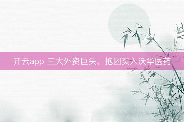 开云app 三大外资巨头,抱团买入沃华医药