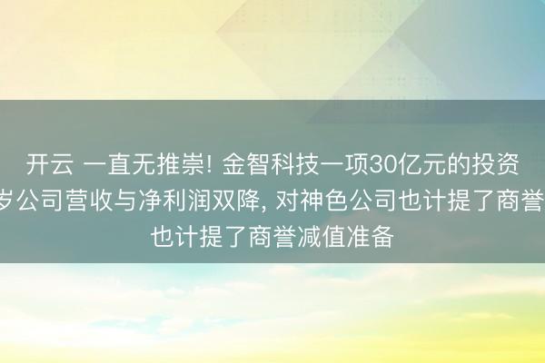 开云 一直无推崇! 金智科技一项30亿元的投资斥逐， 客岁公司营收与净利润双降， 对神色公司也计提了商誉减值准备
