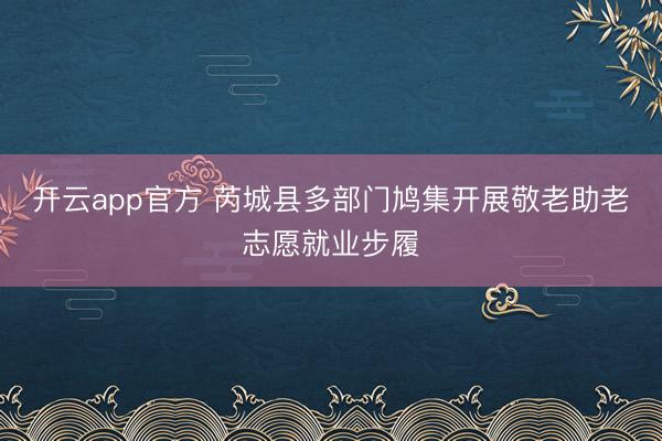 开云app官方 芮城县多部门鸠集开展敬老助老志愿就业步履
